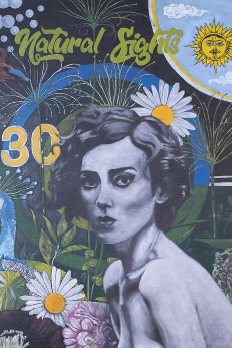 Exposition de peinture de Guillaume Fréchon : Dessins de curiosités