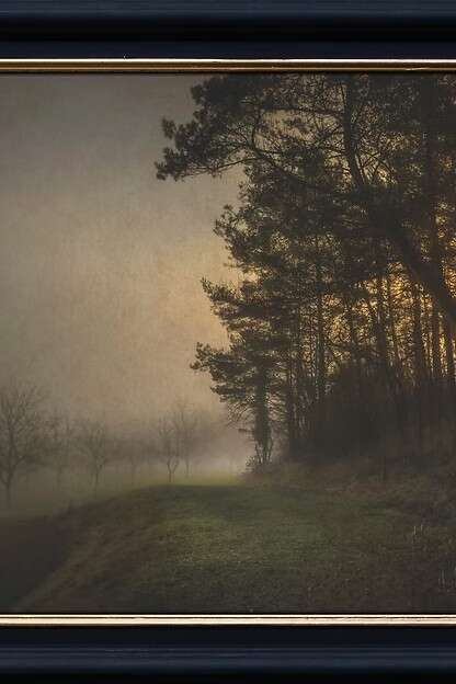 Exposition de photographie de Dan Courtice