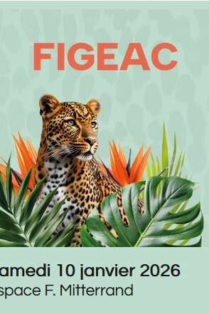 Salon passion voyages à Figeac