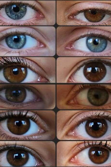 Exposition "Perceptions"