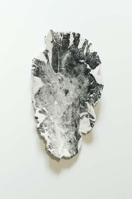 Exposition "Affinités Biomorphiques" - Art Contemporain