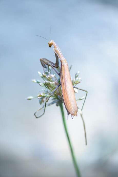 Parcours Photographiques