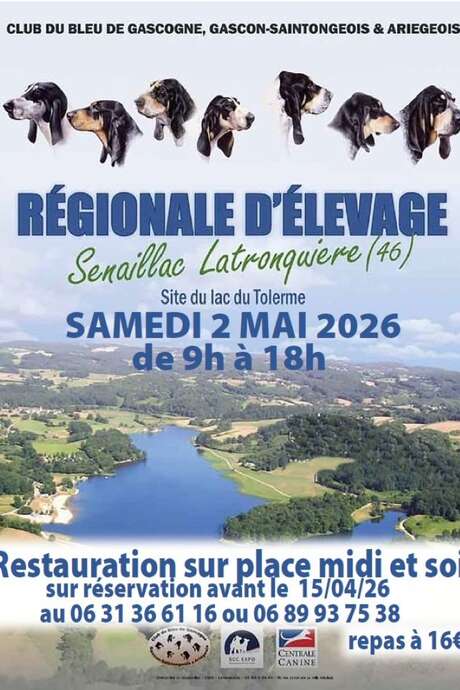 Régionale d’élevage de chiens au lac du Tolerme