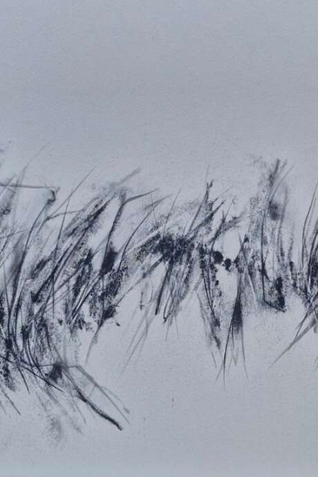 Exposition "Simplement Sauvage" de Patricia Fayat