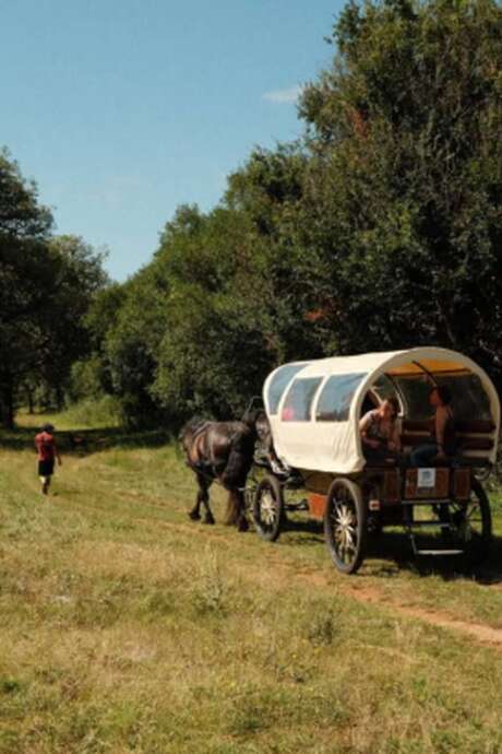 Nomades des Terres : Balades Contées