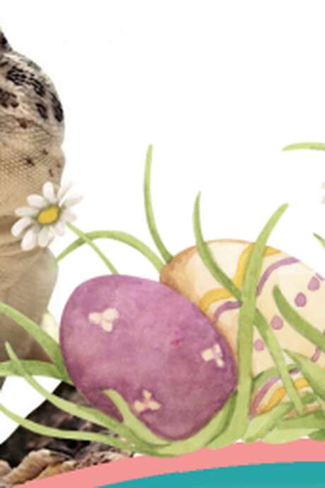 Weekend de Pâques à Reptiland