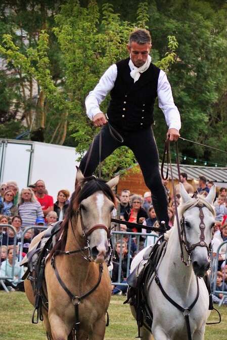 Grand spectacle équestre