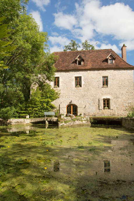 Pays d'Art et d'Histoire : Creysse - Visite nature LPO  - Des chauves souris et des hommes, habiter le patrimoine