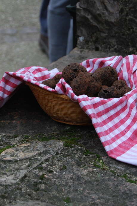 Marché aux Truffes à Limogne en Quercy