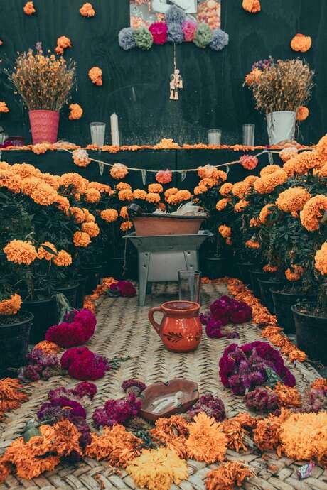 Exposition "Dia de los muertos"