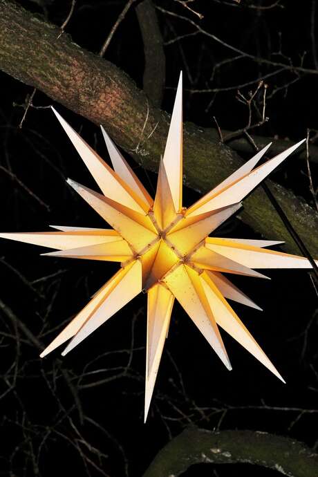 Stage de fabrication d'un Dodécaèdre étoilé au Jardin Bourian