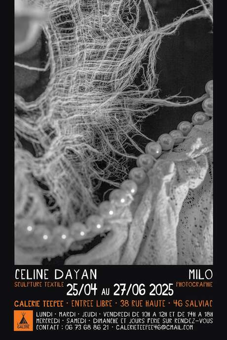 Exposition des oeuvres de Céline Dayan et Milo à la Galerie TeePee