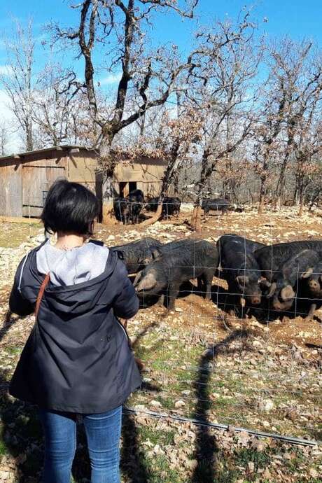 Visites gourmandes à la ferme du Tessou