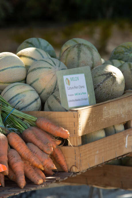 Marché de producteurs à La Chapelle-Saint-Géraud