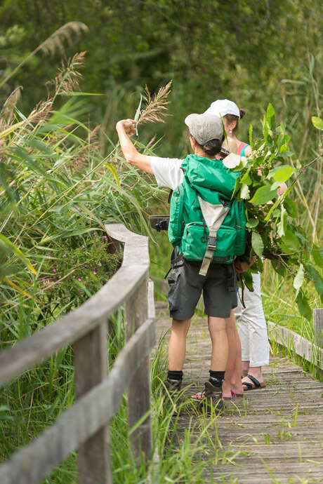 "Deux réserves naturelles, deux voix en chœur au marais de Bonnefont"