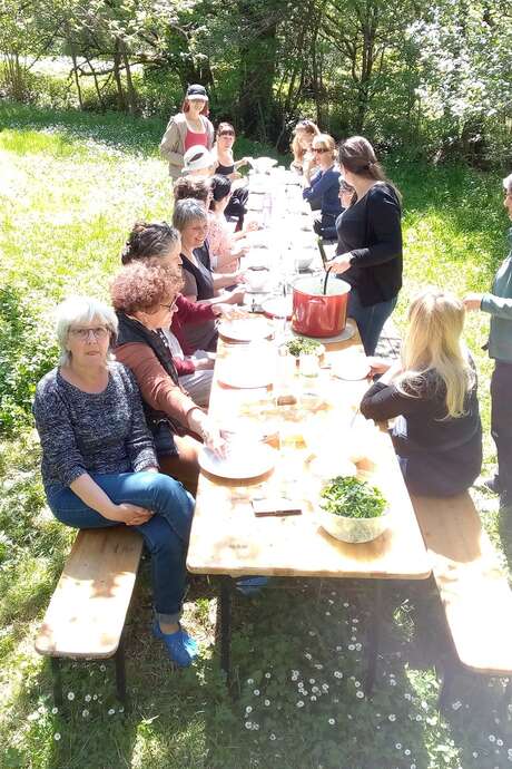 Stage de cuisine sauvage: 50 plantes d'été