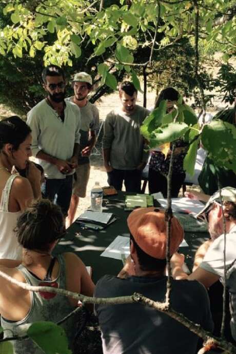 Atelier cuisine : plantes et fleurs sauvages à la ferme Lou Baptistou au Bouyssou