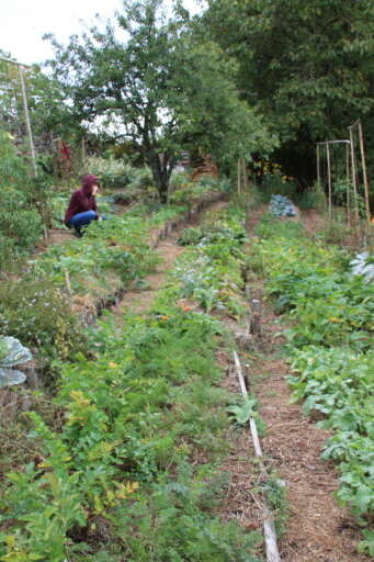Forêt-Jardin à le ferme du Bouyssou