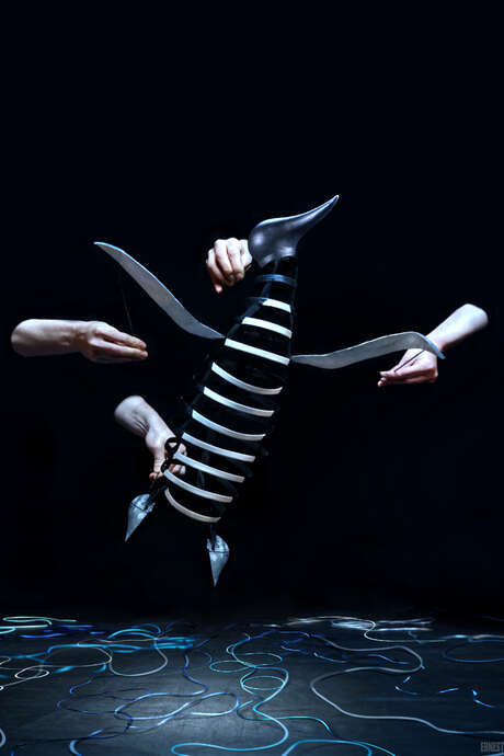 Théâtre de l'Usine - Le complexe du pingouin – Cie Le Mouton Carré