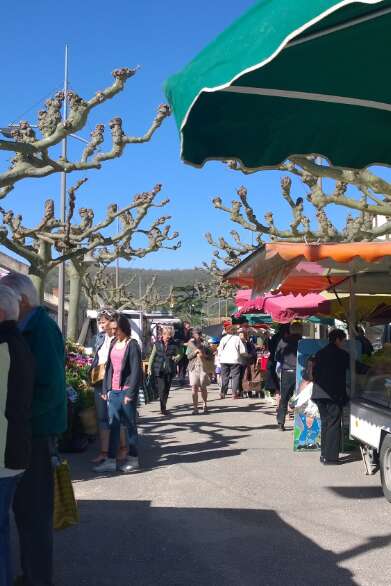 Marché à Luzech