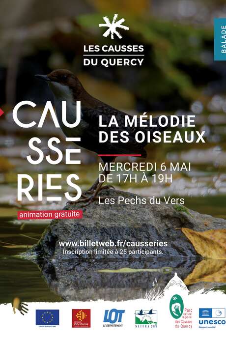 La mélodie des oiseaux