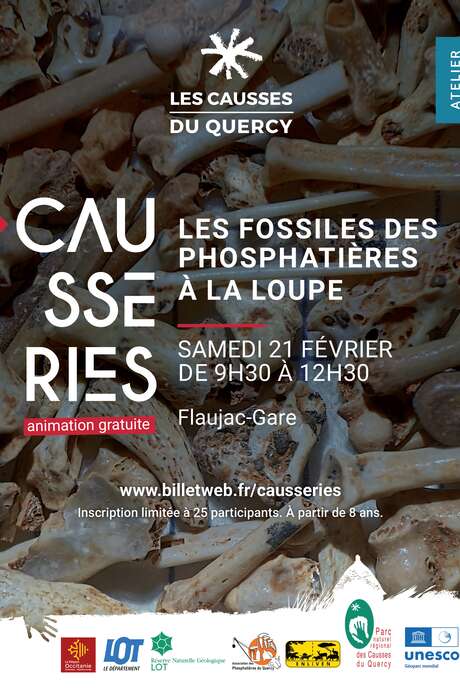 Les fossiles des phosphatières à la loupe Atelier de découverte