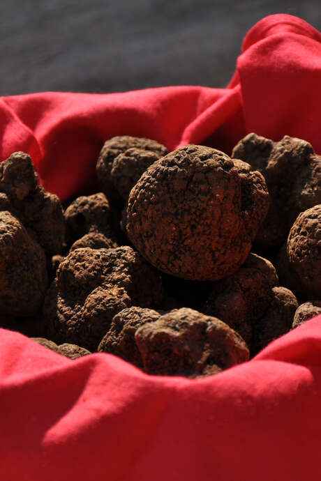 Fête de la truffe à Lalbenque