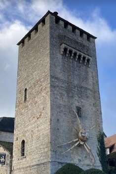 Visite de la Tour Tournemire