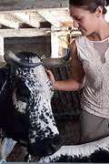 Marché de producteur à la ferme de Rosalie