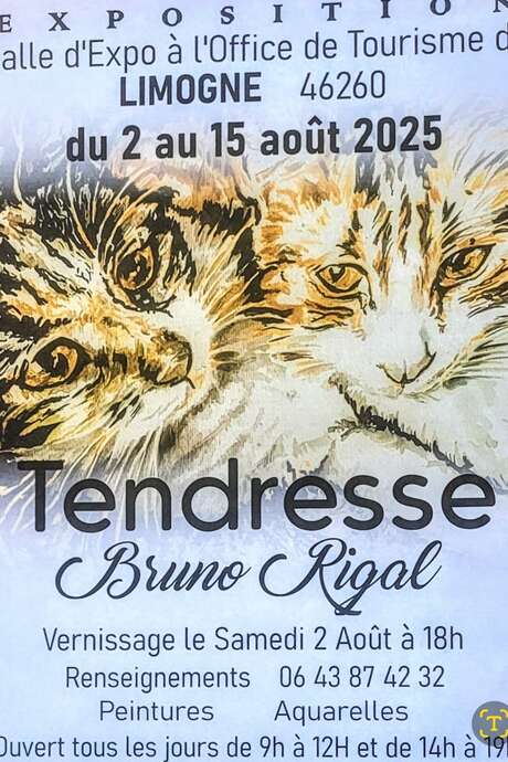Exposition de Bruno Rigal - Tendresse