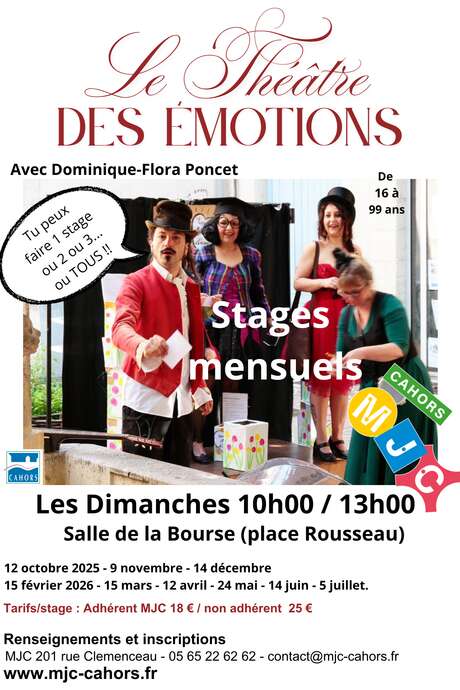 Le théâtre des émotions - MJC Cahors