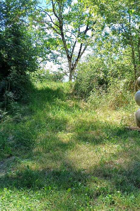 L'art dans la Nature, SculpTour