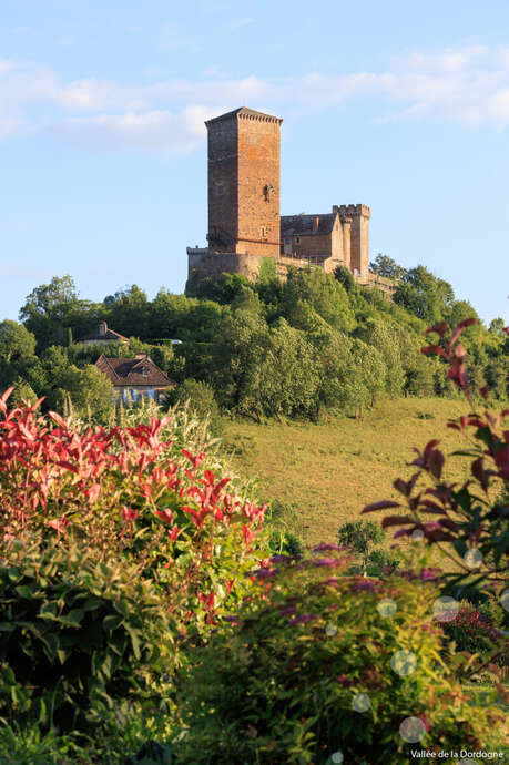 Visite "Histoire d'un Château millénaire"