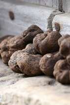 Marché aux truffes de Capdenac