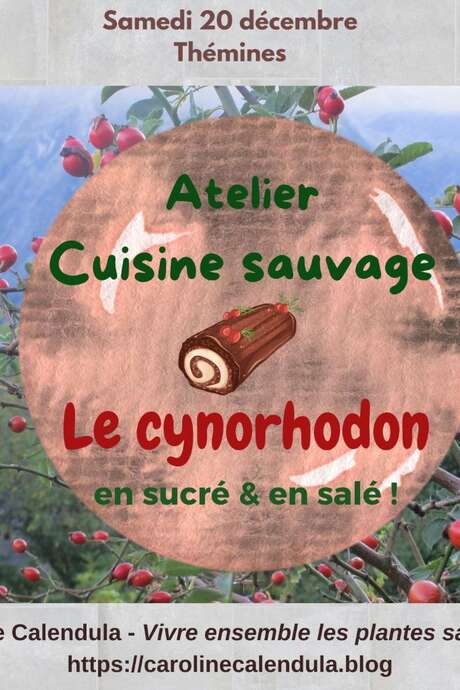 Atelier à Thémines :  cuisine sauvage autour de la cuisine du cynorhodon !