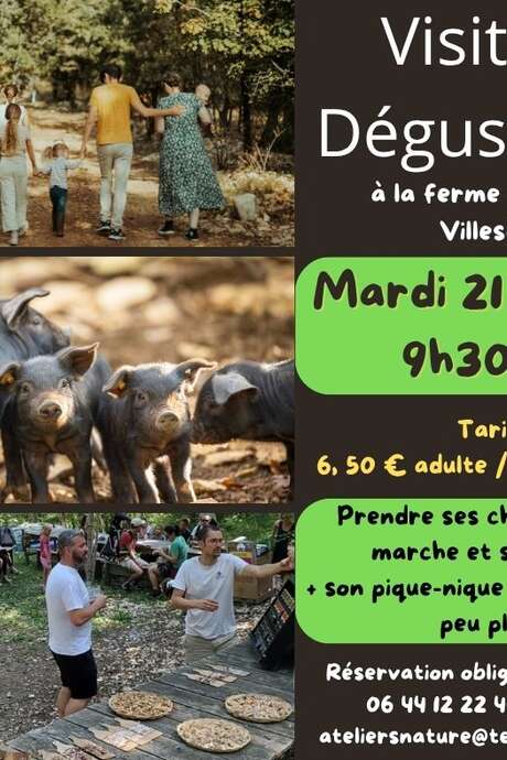 Visite et dégustation à la ferme du Tessou
