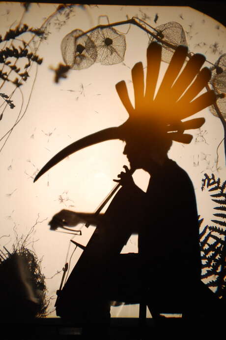 Théâtre de l'Usine - Volatile ombré