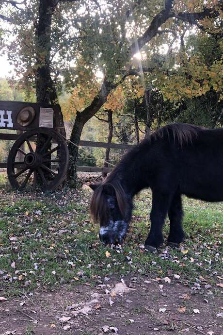 Balades à Poney sur le Sentier d'Halloween