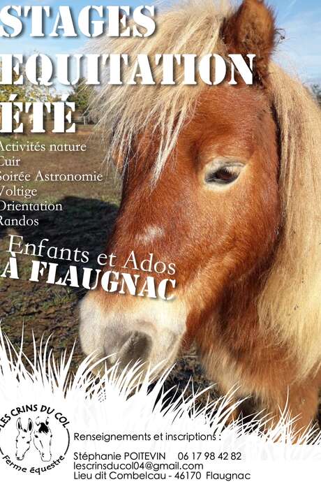 Stage de Poney à la ferme équestre "Les Crins du Col"