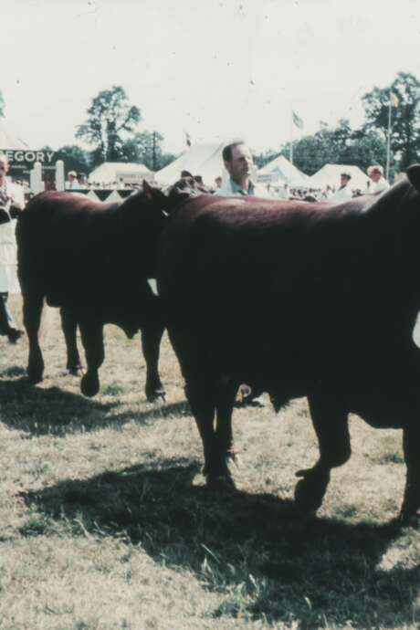 Comice Agricole