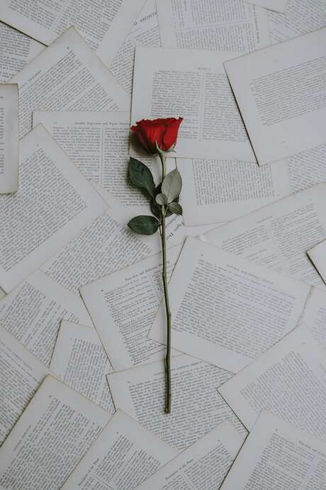 Carrefour des Arts : Lettres d'amour
