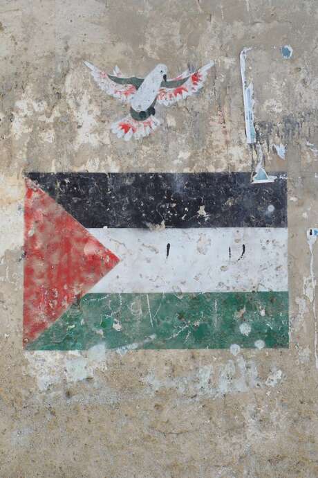 Festival Résurgence X - Conférence - "Les activistes de la paix en Israël et Palestine"