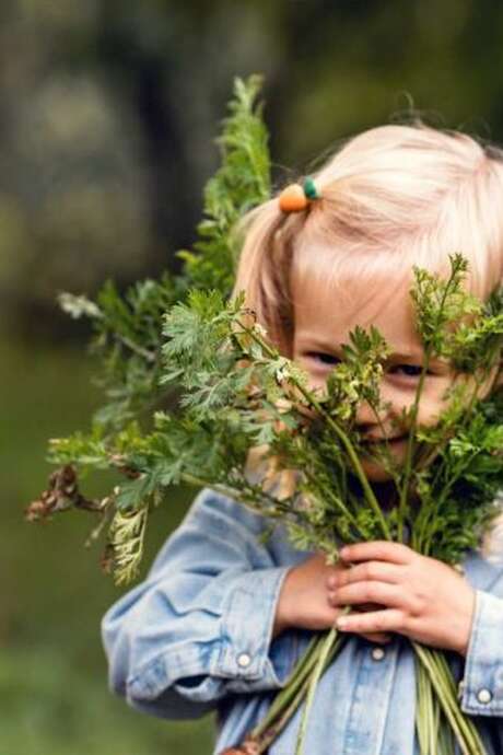 Printemps à la ferme - "les colombiers de la Xaintrie"