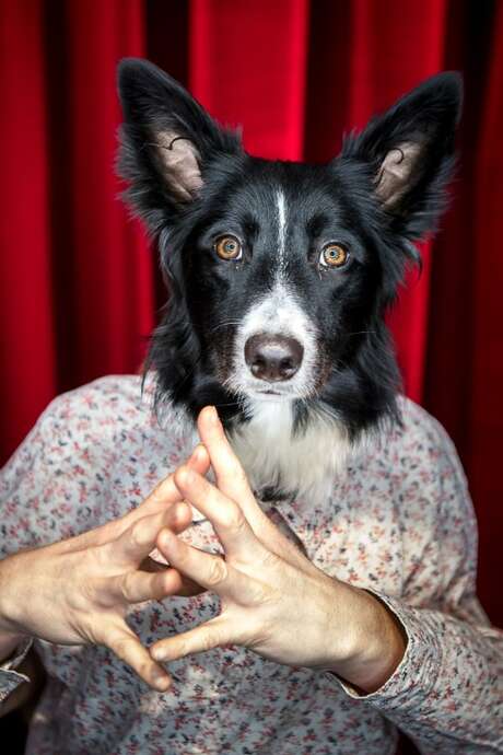Théâtre de l'Usine - Ouiiii Cie des Plumés