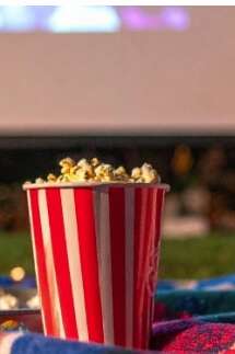 Rendez-vous des curieux - projection de film : La vielle dame indigne