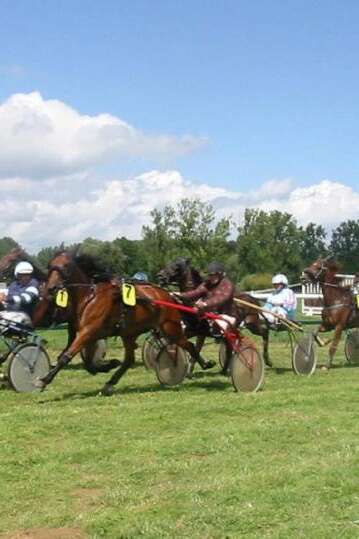 Fête de l'hippodrome: Courses hippiques de Gramat