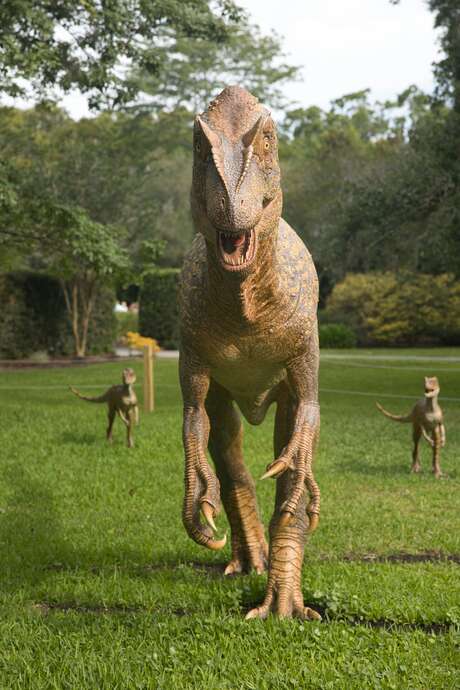 Les Cafés de la Préhistoire - des dinosaures sous les vignes