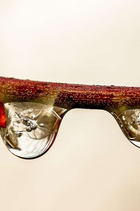 Rencontre avec l’auteur Stéphane Labarrière