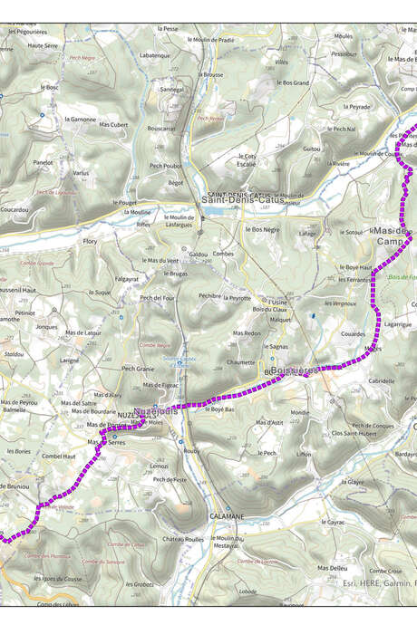 Transhumance Rocamadour - Luzech : étape Gigouzac- Crayssac