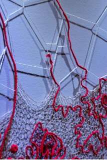 Rendez-vous des curieux - exposition